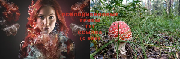 ешки Алзамай