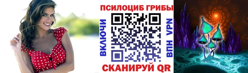 мориарти состав  Алексин  Псилоцибиновые грибы Psilocybine cubensis 